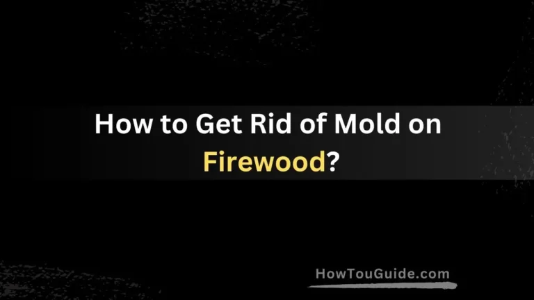 How to Get Rid of Mold on Firewood?